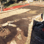 Landscaping on the south and west of the property.
