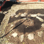 Bio-retention grading and bio-swale.